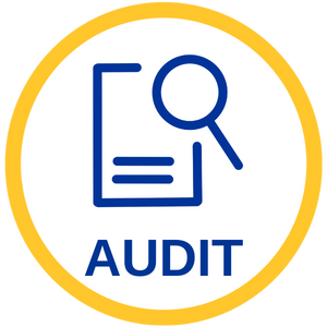 Audit Landing Page
